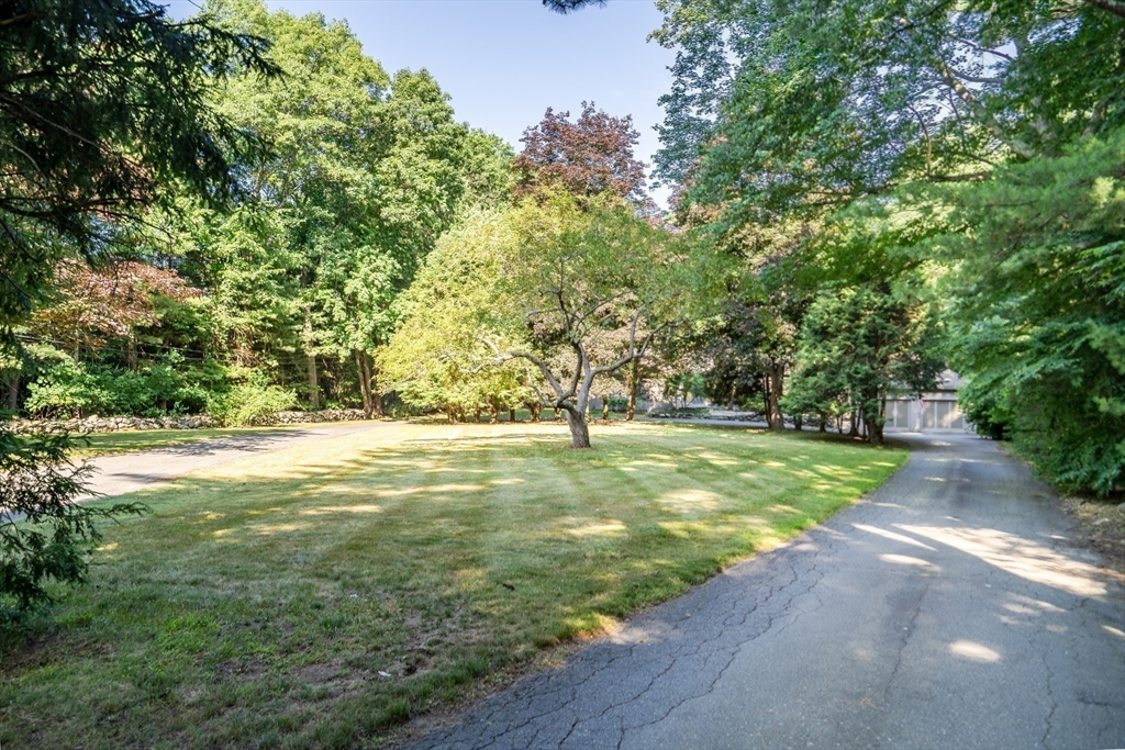 215 Mossman Road Sudbury, MA 01776 - Photo 26 of 30 a view of yard with green space and trees all around