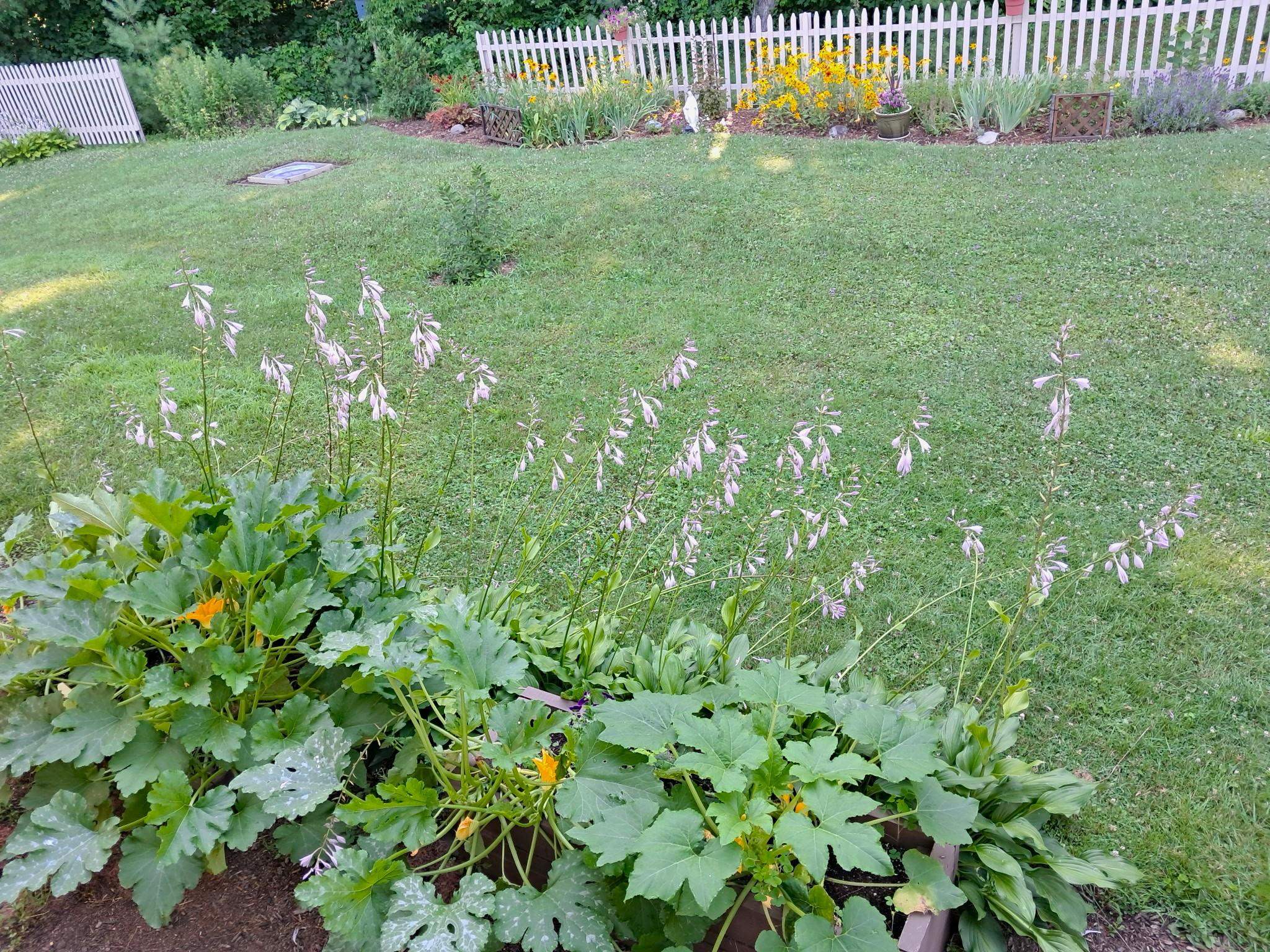 92 Pine Street Newport, VT 05855 - Photo 36 of 46