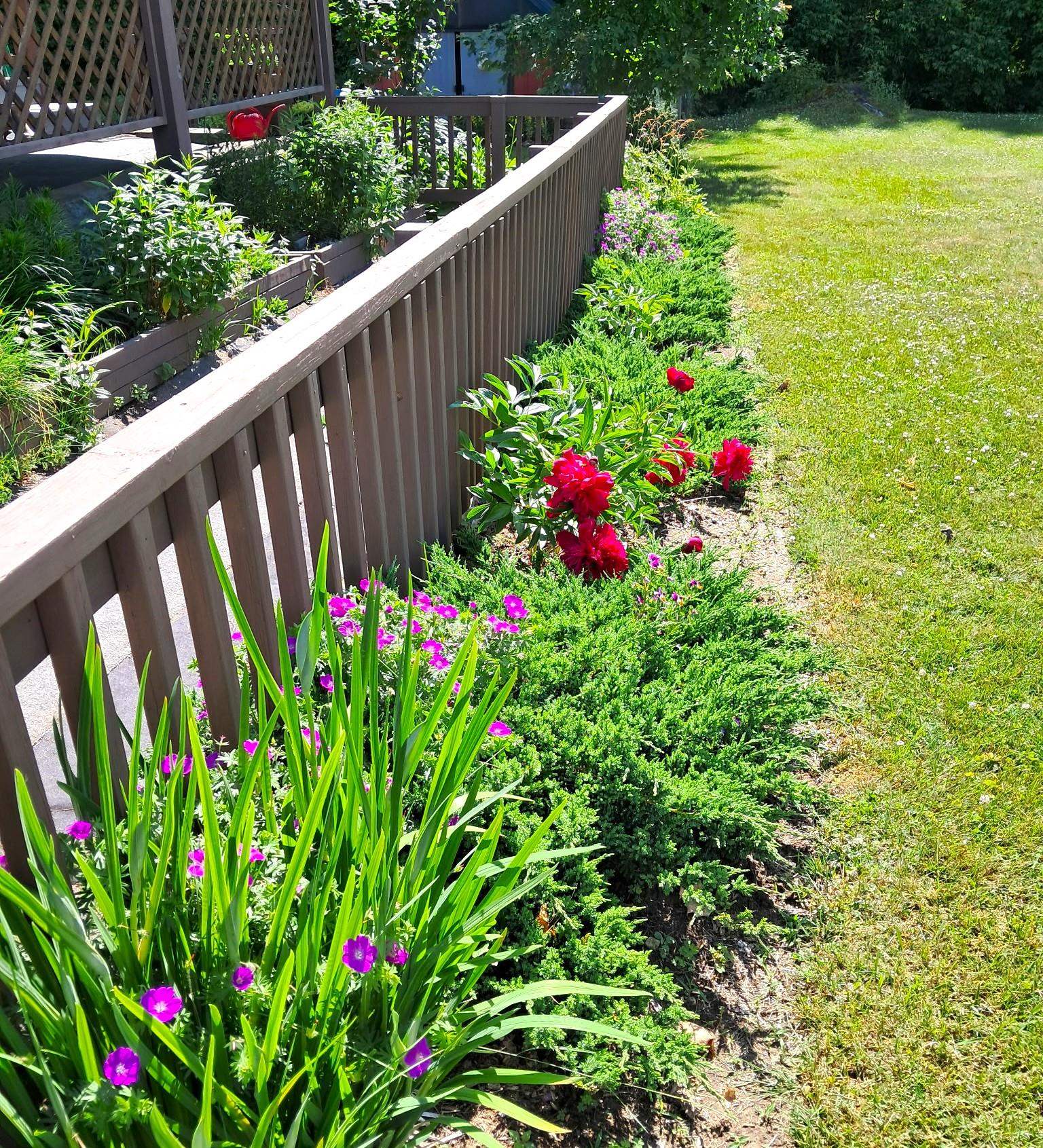 92 Pine Street Newport, VT 05855 - Photo 38 of 46