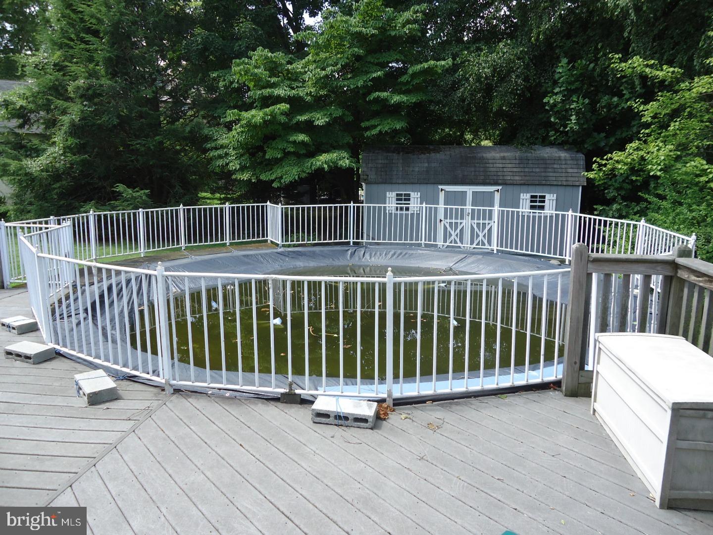 812 Southampton Road Philadelphia, PA 19116 - Photo 19 of 20 Pool