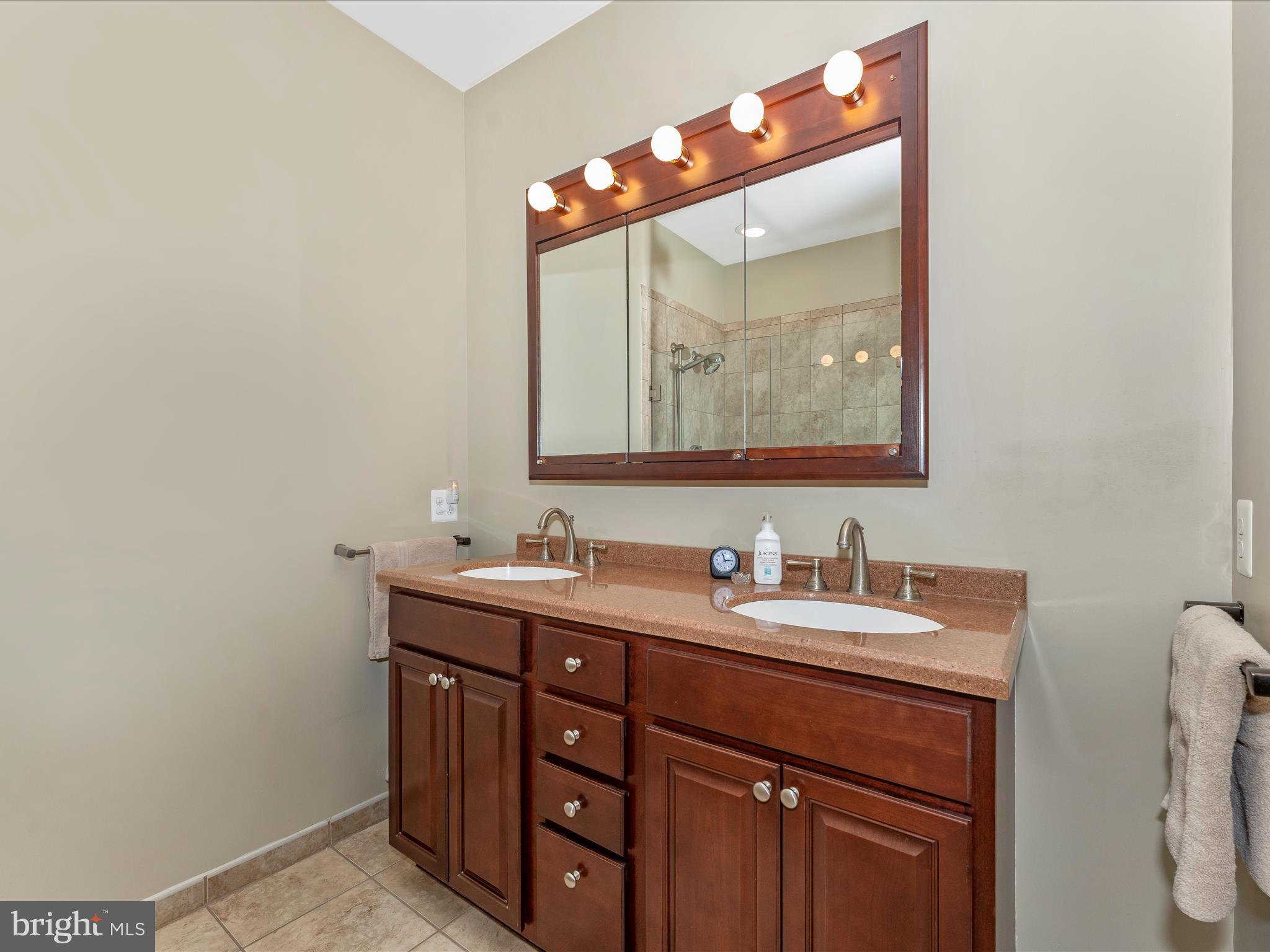 2523 Mill Race Road Frederick, MD 21701 - Photo 18 of 48 Primary Bathroom