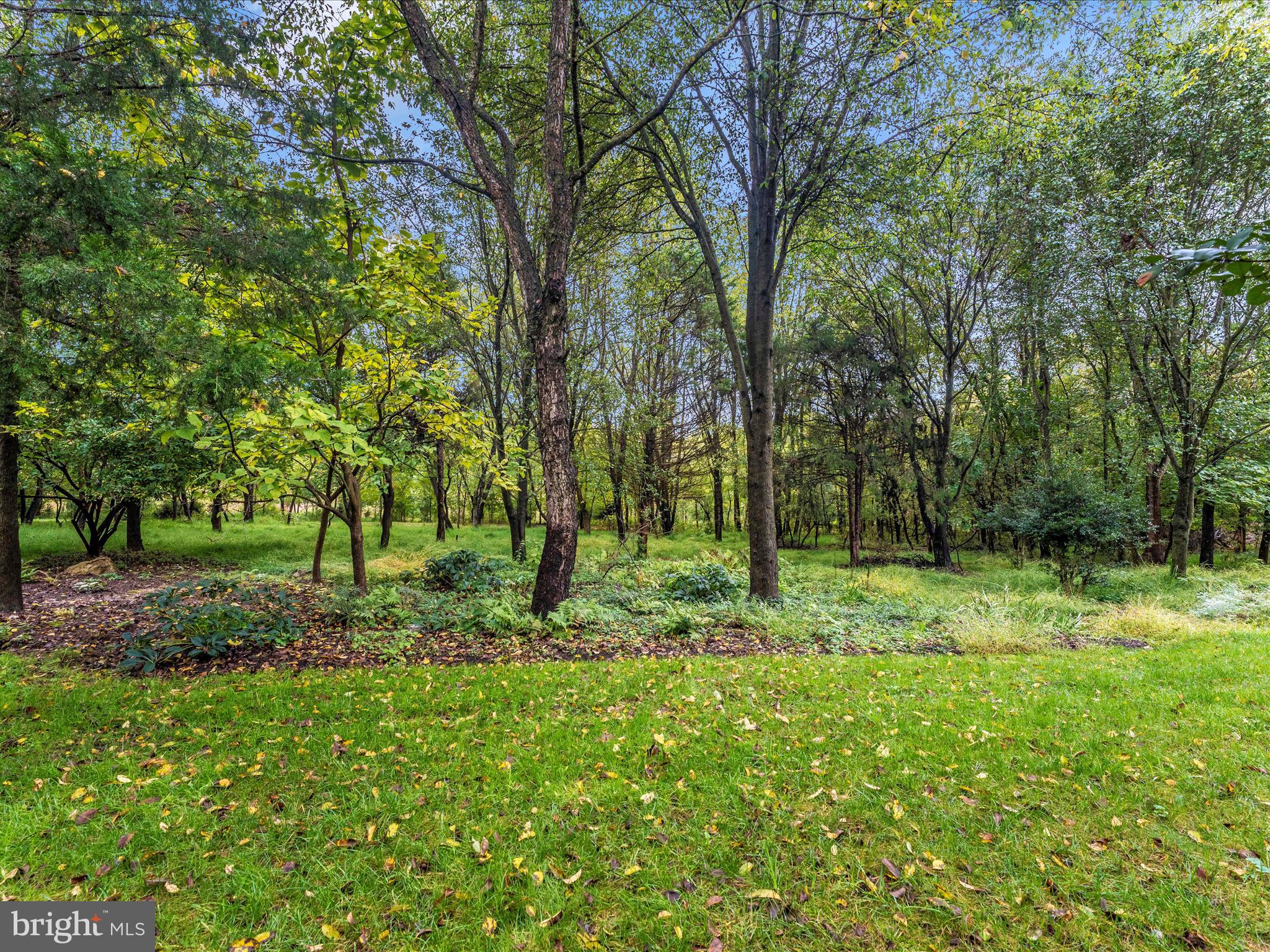 2523 Mill Race Road Frederick, MD 21701 - Photo 39 of 48 Exterior Back