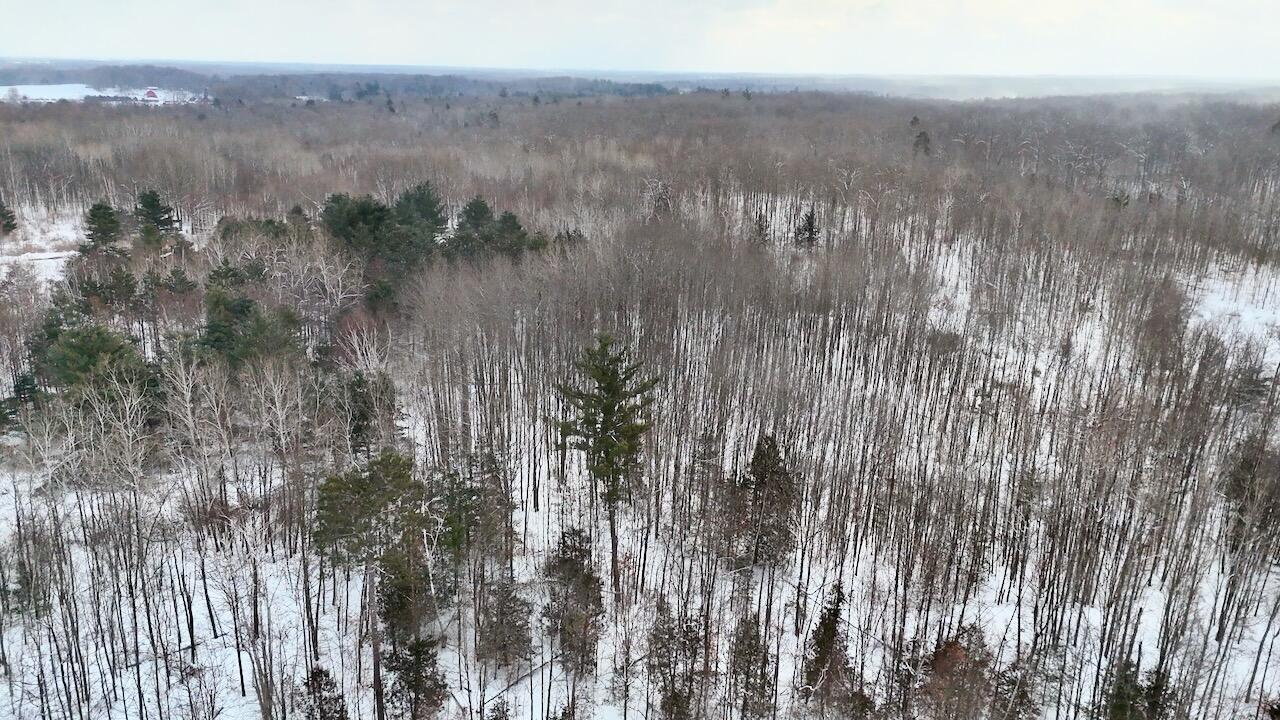 6182 Hamilton Road Harrison, MI 48625 - Photo 11 of 56