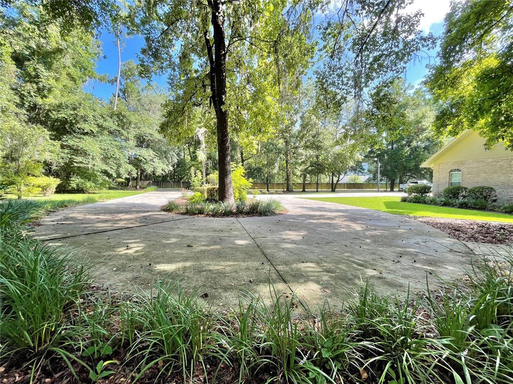 1501 Northwest 98 Street Gainesville, FL 32606 - Photo 77 of 92 a view of yard with tree