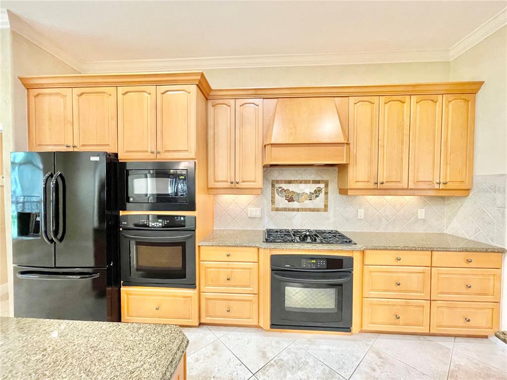 1501 Northwest 98 Street Gainesville, FL 32606 - Photo 8 of 92 a kitchen with granite countertop a refrigerator stove and sink