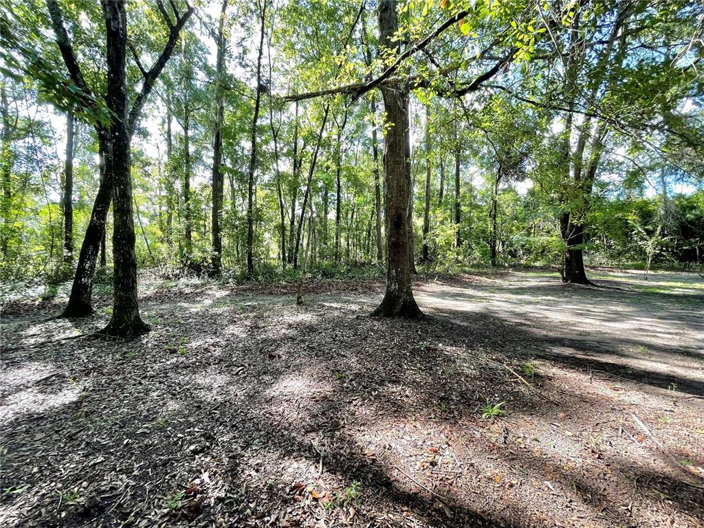 1501 Northwest 98 Street Gainesville, FL 32606 - Photo 83 of 92