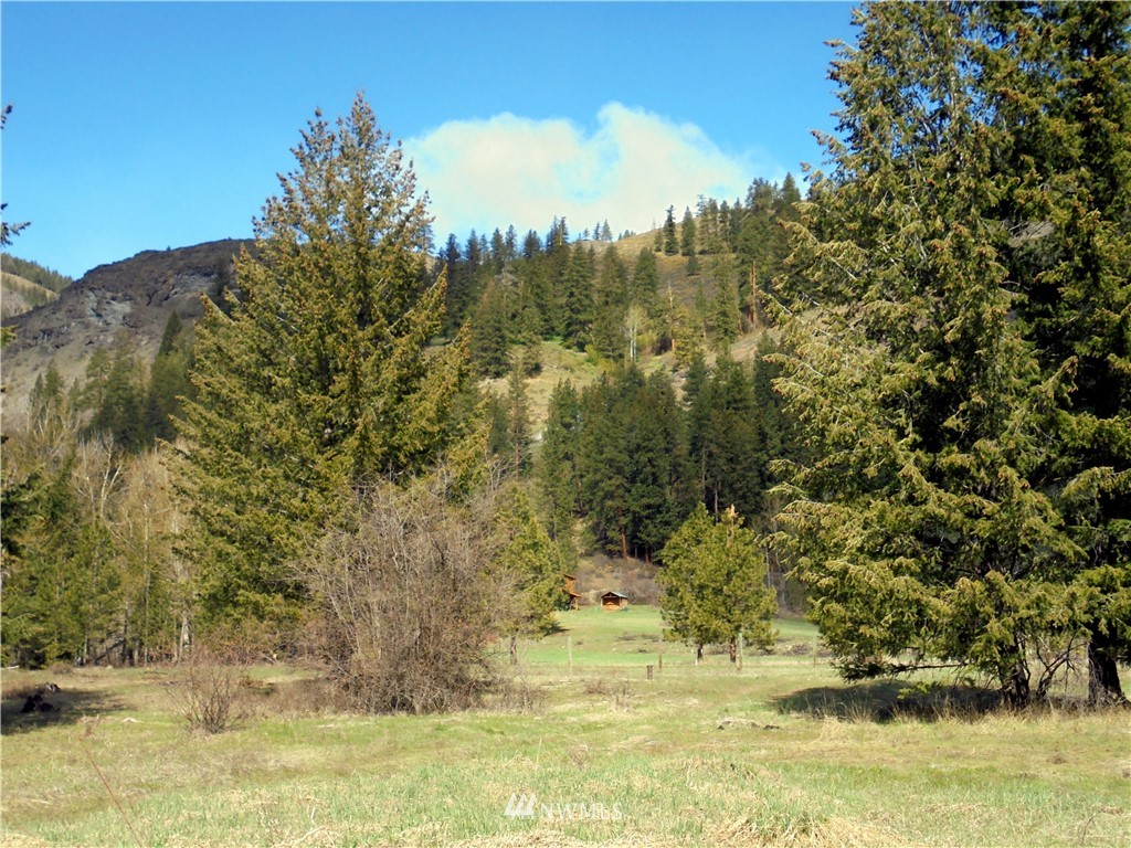 1045 Twisp River Road Twisp, WA 98856 - Photo 22 of 25 Gallery Image 22