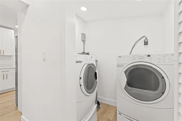 a view of a backyard with plants and trees