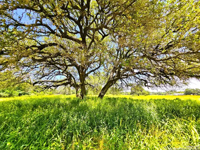 a view of an ocean and beach