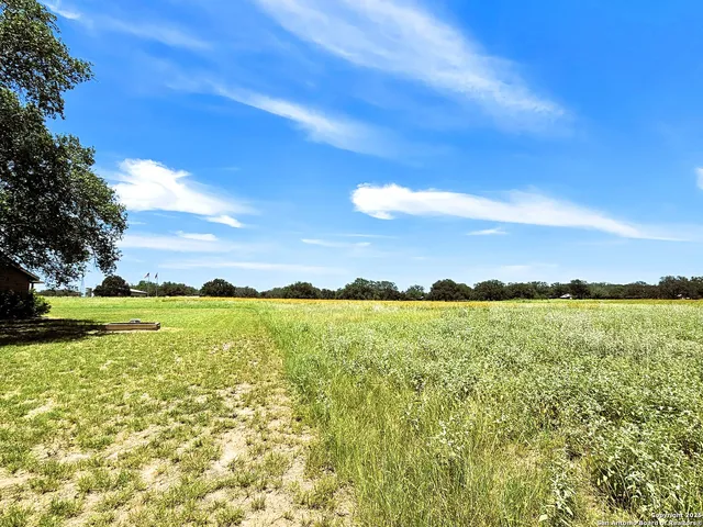 a view of a yard with large trees