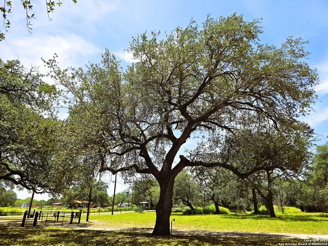 $999,900 | 803 County Road 6612, Devine, TX 78016