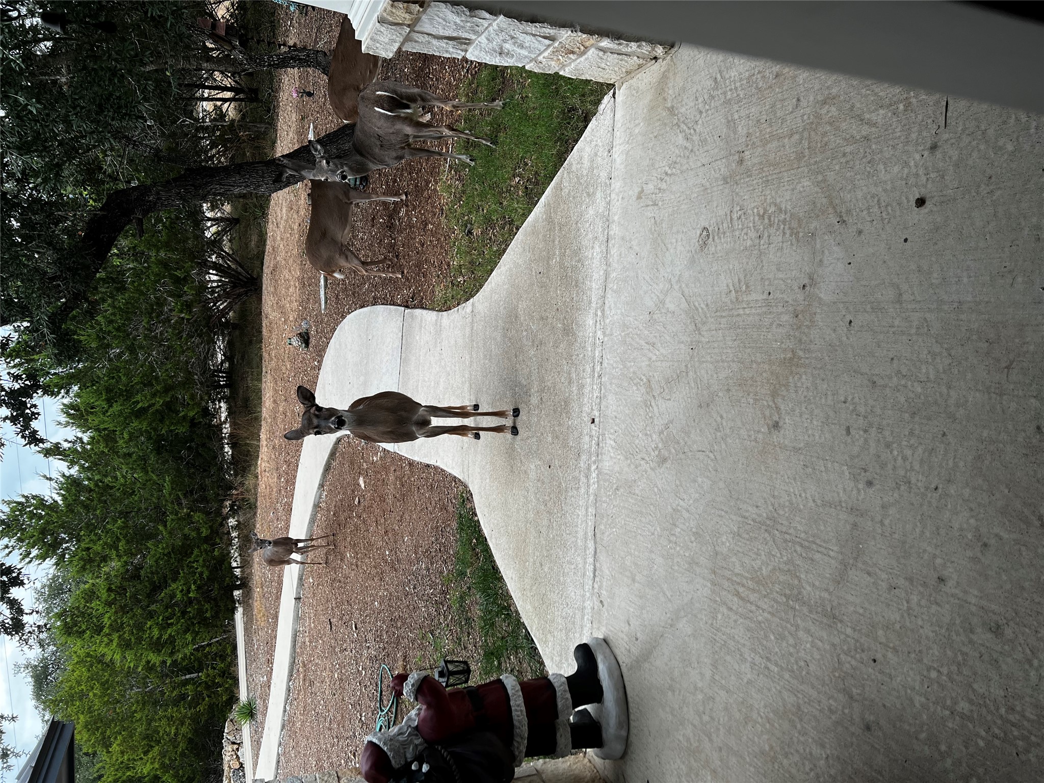 13326 Trautwein Road Austin, TX 78737 - Photo 4 of 38 View of patio / terrace