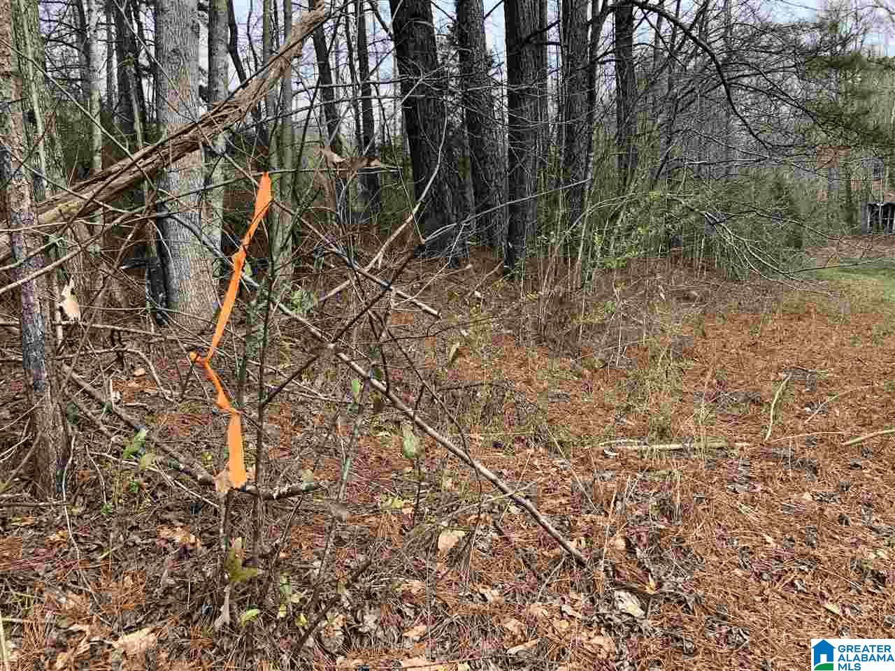 1715 Cook Springs Road, Unit 1 Pell City, AL 35125 - Photo 2 of 4