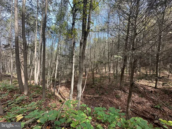 $749,900 | 848 Sugar Camp Road, Clearfield, PA 16830
