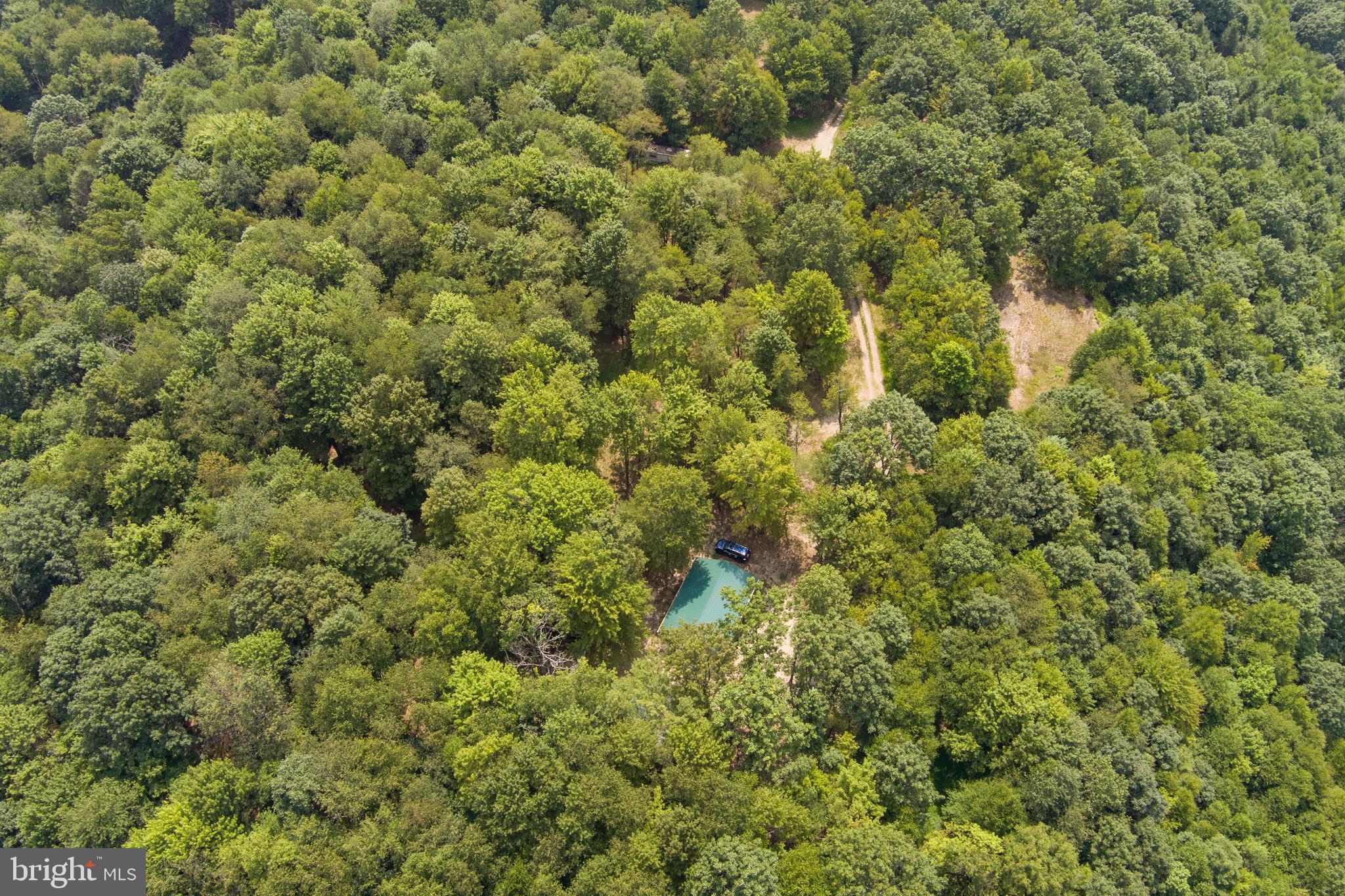 848 Sugar Camp Road Clearfield, PA 16830 - Photo 15 of 54 a view of a big yard with plants and large trees