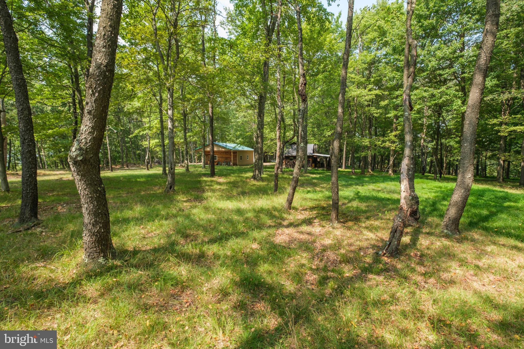 848 Sugar Camp Road Clearfield, PA 16830 - Photo 16 of 54 a view of a park