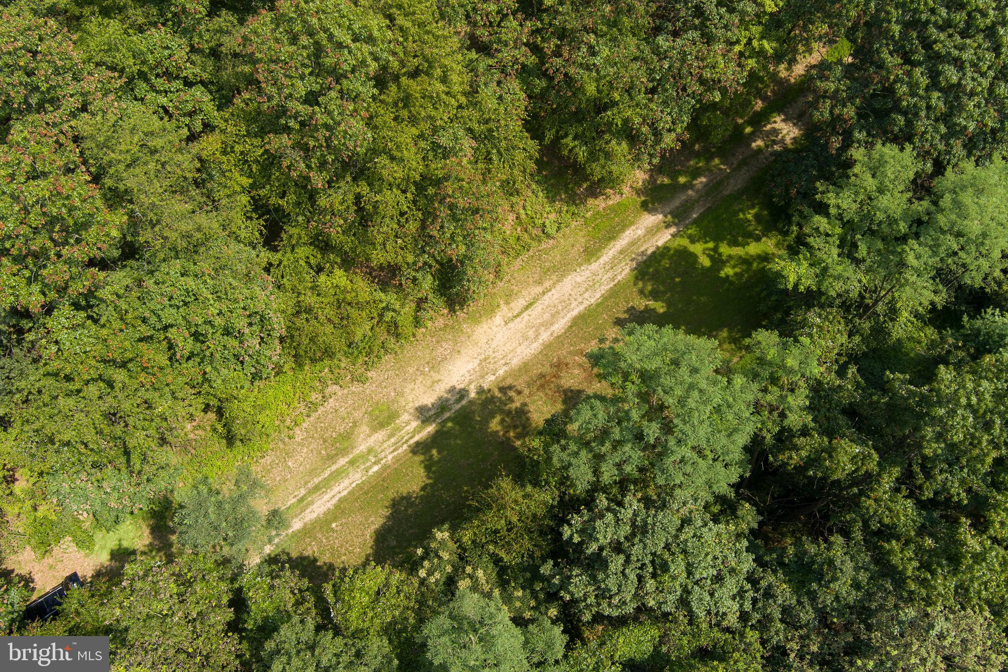 848 Sugar Camp Road Clearfield, PA 16830 - Photo 41 of 54 a view of a forest