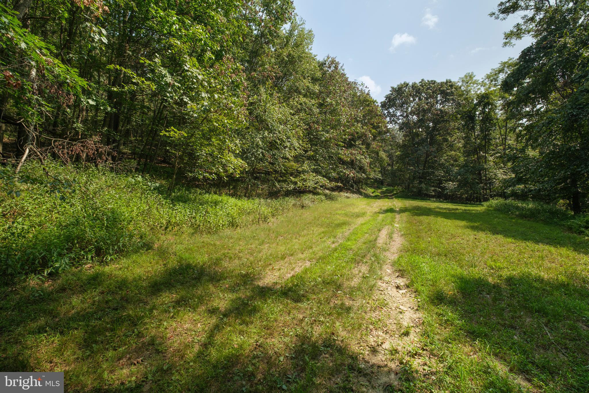 848 Sugar Camp Road Clearfield, PA 16830 - Photo 42 of 54 a view of a yard with a tree