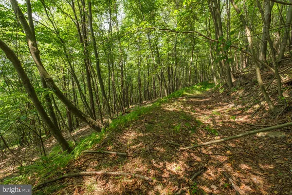 $749,900 | 848 Sugar Camp Road, Clearfield, PA 16830