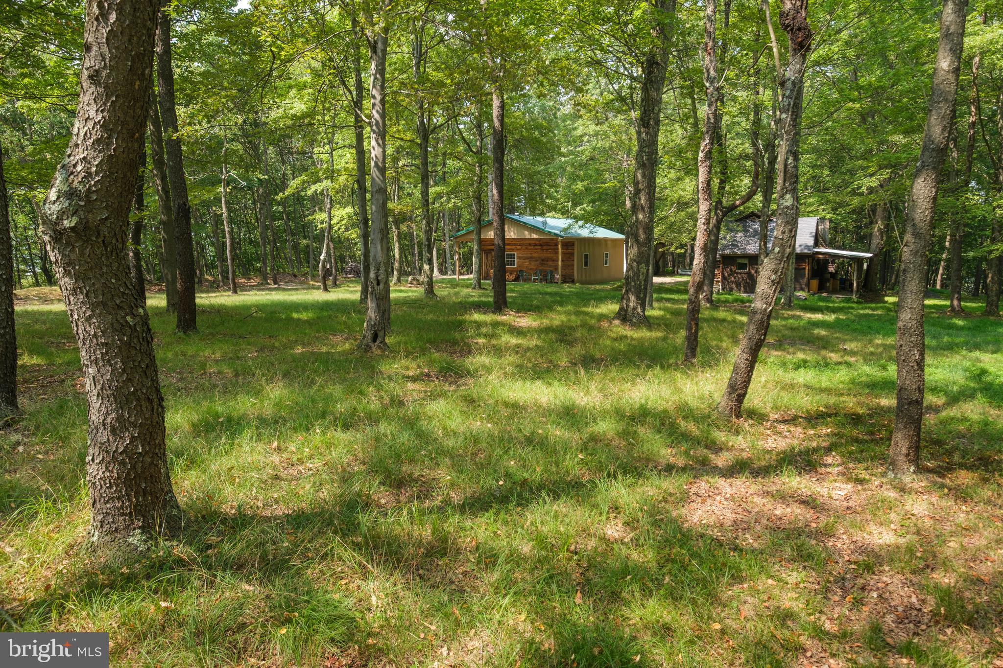 848 Sugar Camp Road Clearfield, PA 16830 - Photo 45 of 54 a backyard of a house with lots of green space