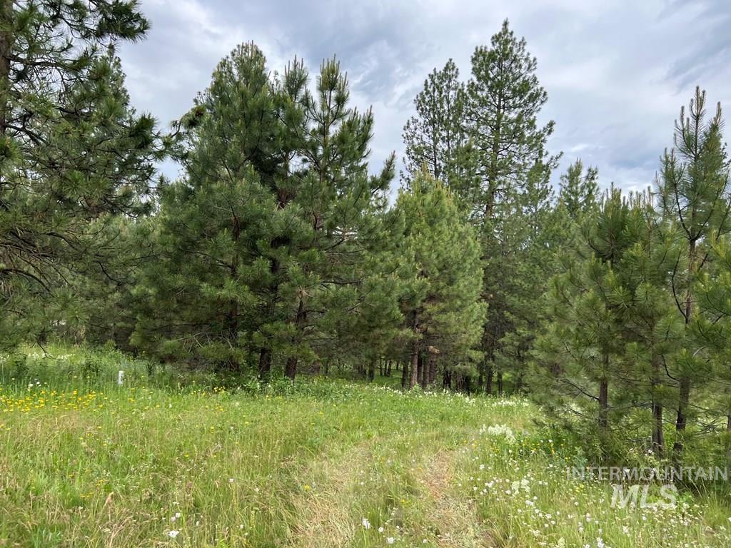 85 East Prospectors Drive Cascade, ID 83611 - Photo 12 of 13 View of local wilderness