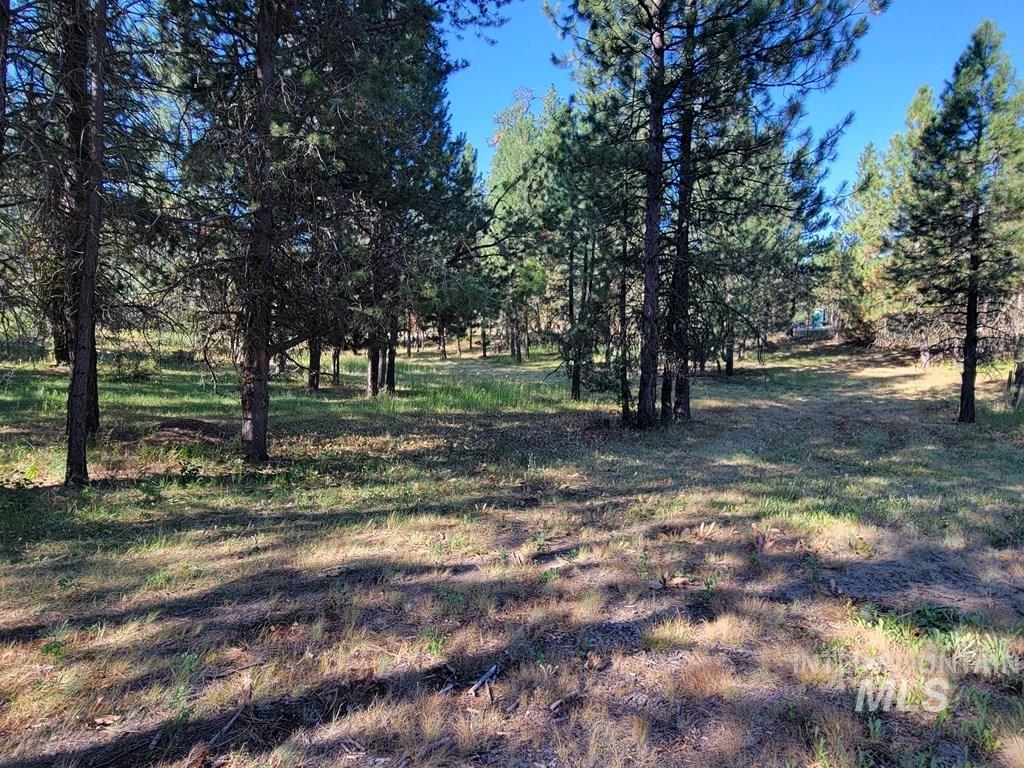 85 East Prospectors Drive Cascade, ID 83611 - Photo 6 of 13 View of yard