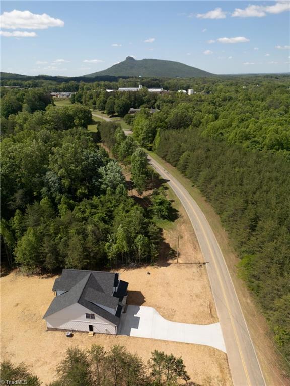 482 Carson Road Pilot Mountain, NC 27041 - Photo 7 of 41