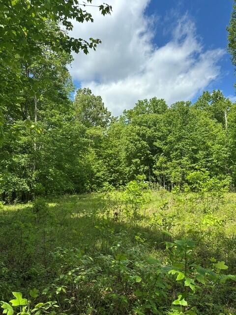 142 Cole Road Deer Lodge, TN 37726 - Photo 33 of 77 38