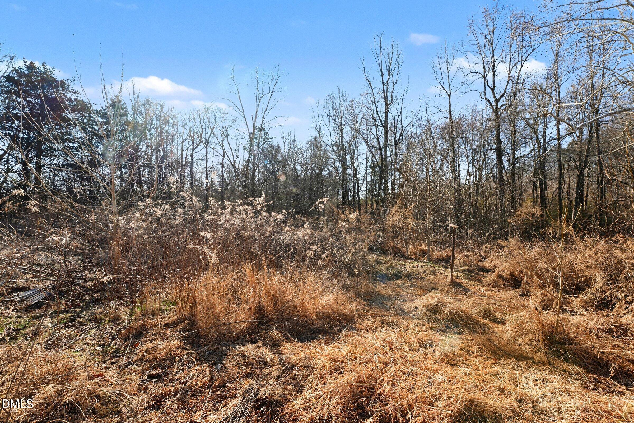 7001 Bobby Jean Road Liberty, NC 27298 - Photo 8 of 16 012_file_2003