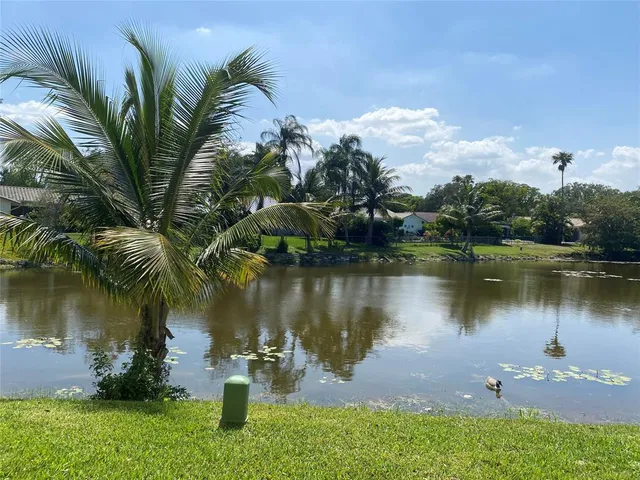 a view of a lake from a yard