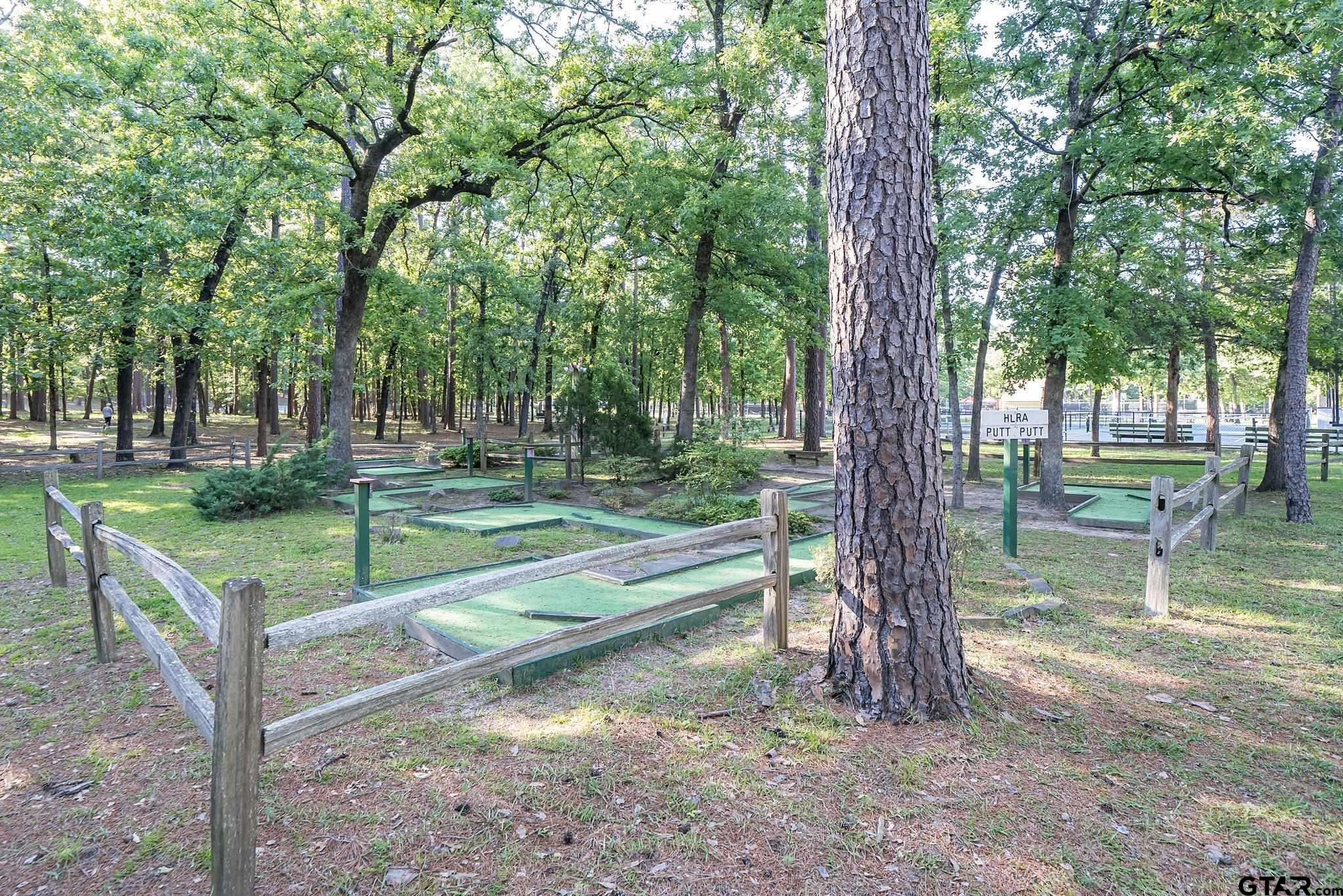 201 Elmwood Lane Holly Lake Ranch, TX 75765 - Photo 31 of 34 a view of a park