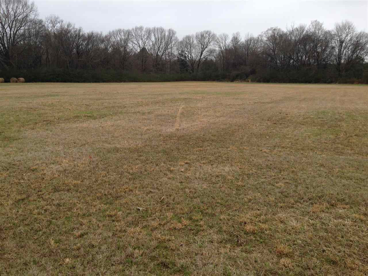 7 Sharon Road Canton, MS 39046 - Photo 2 of 10 Photo 2