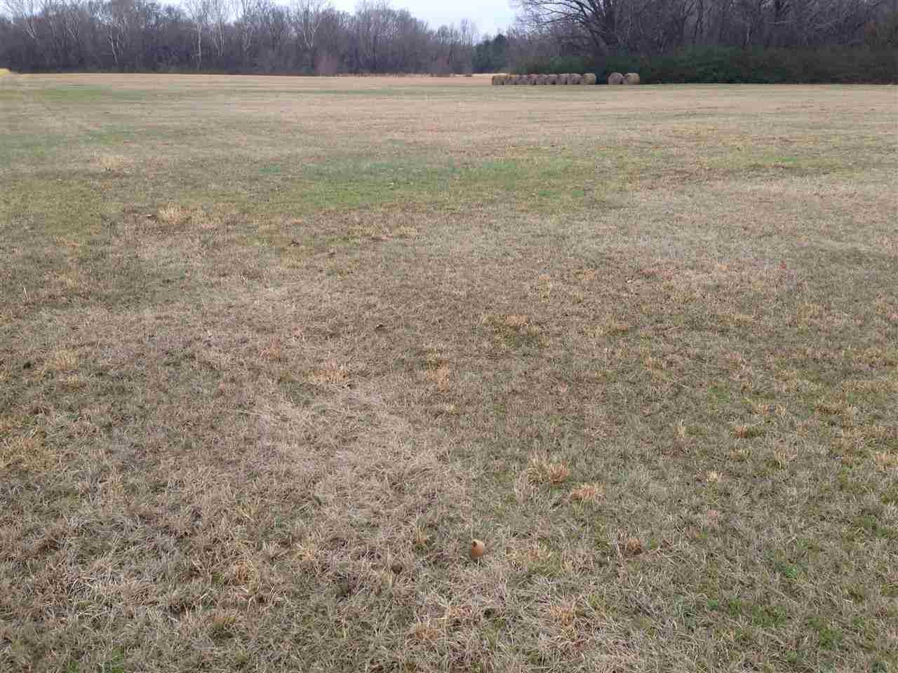 7 Sharon Road Canton, MS 39046 - Photo 3 of 10 Photo 3
