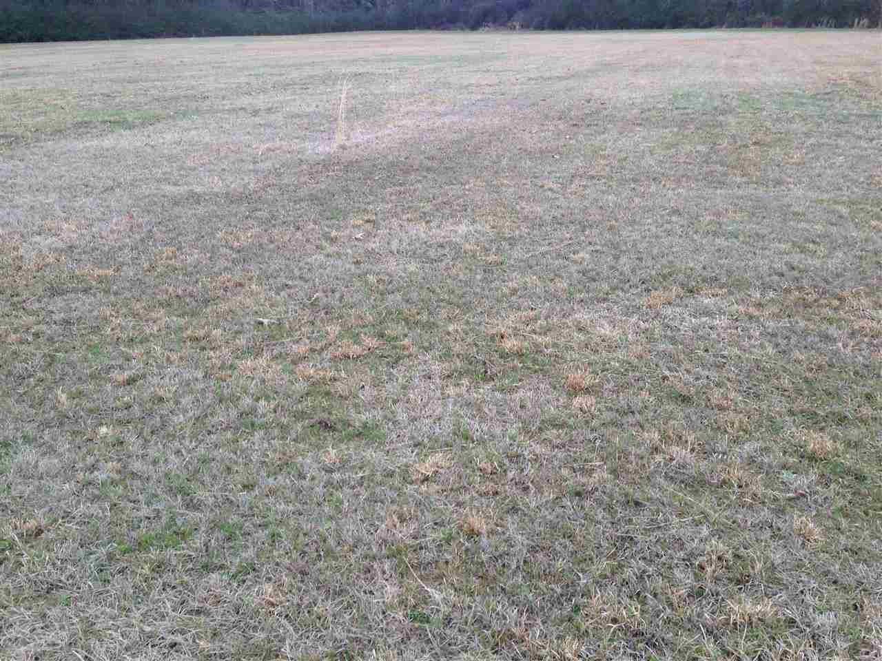 7 Sharon Road Canton, MS 39046 - Photo 4 of 10 Photo 4