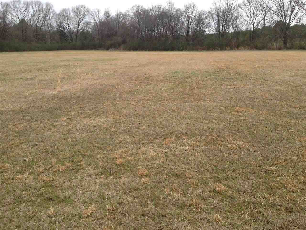 7 Sharon Road Canton, MS 39046 - Photo 5 of 10 Photo 5