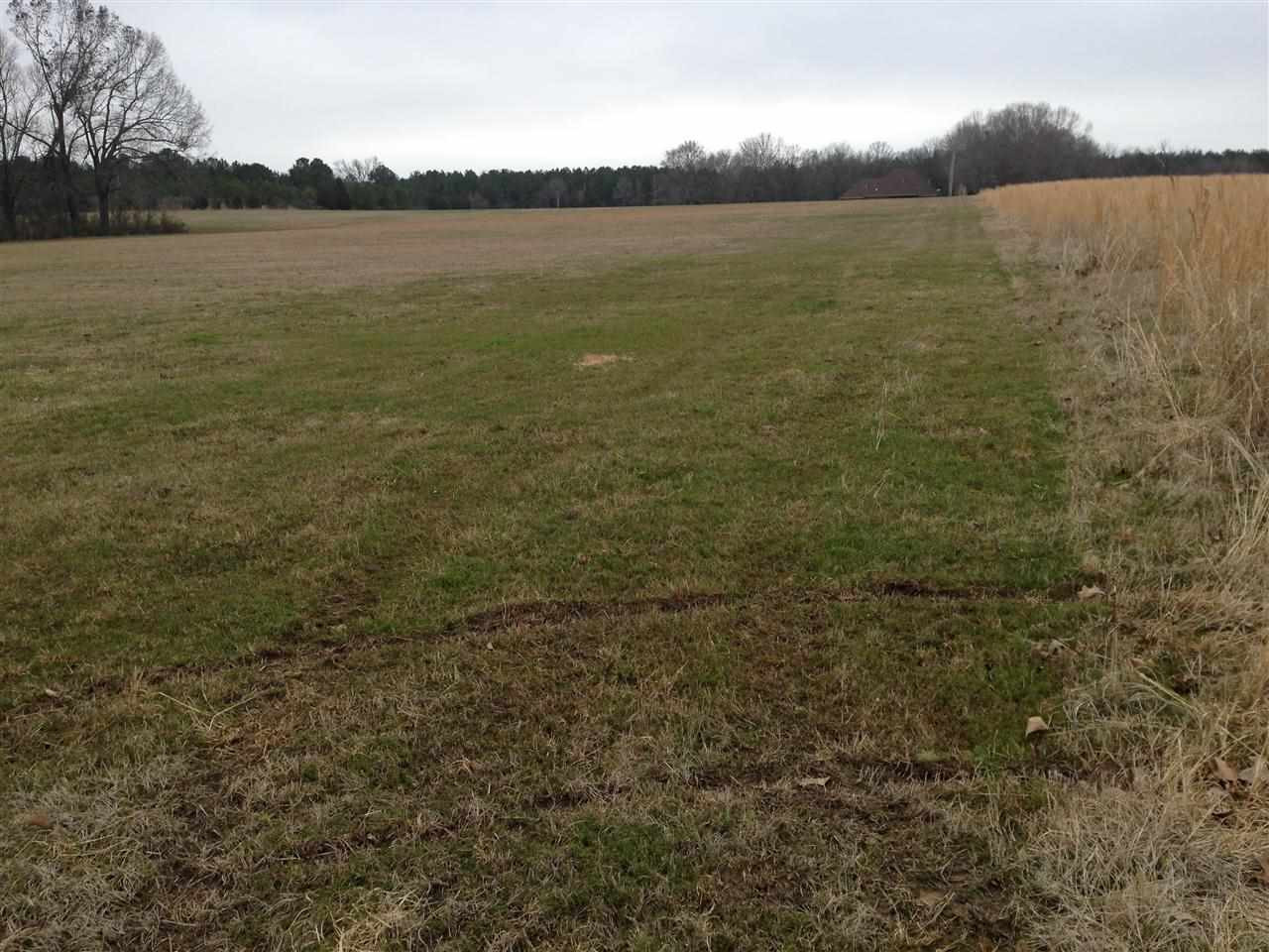 7 Sharon Road Canton, MS 39046 - Photo 6 of 10 Photo 6