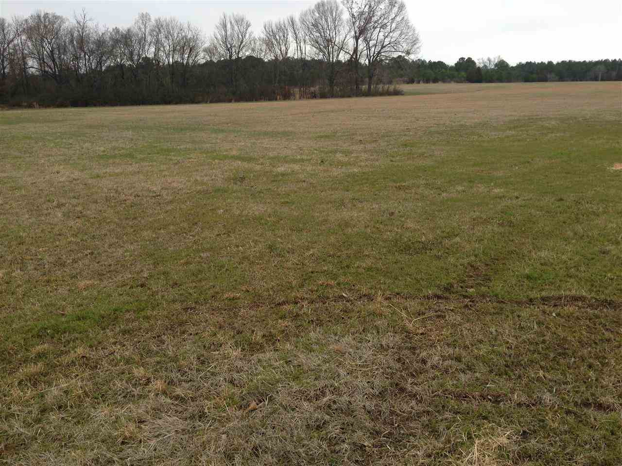 7 Sharon Road Canton, MS 39046 - Photo 7 of 10 Photo 7