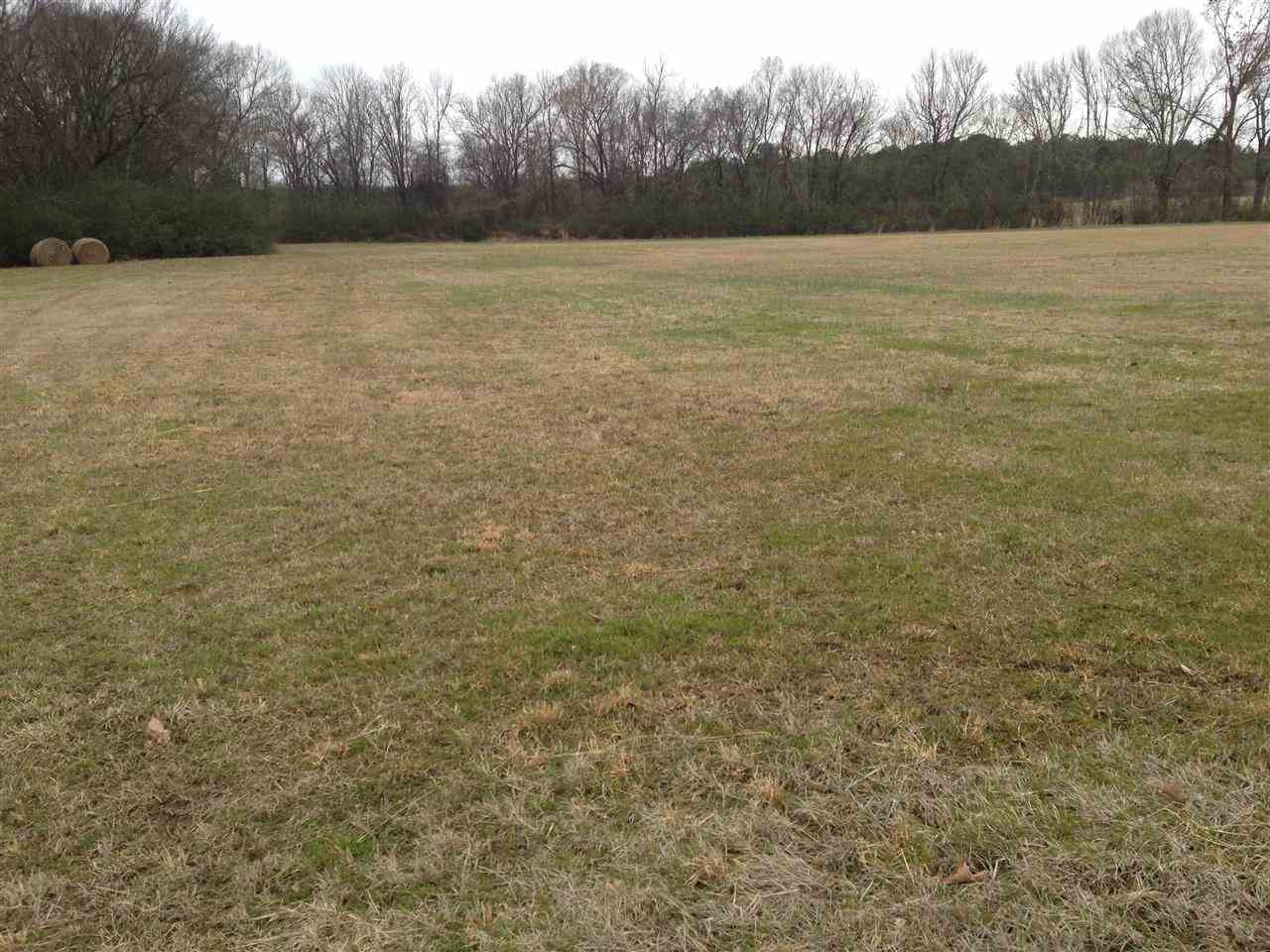 7 Sharon Road Canton, MS 39046 - Photo 8 of 10 Photo 8