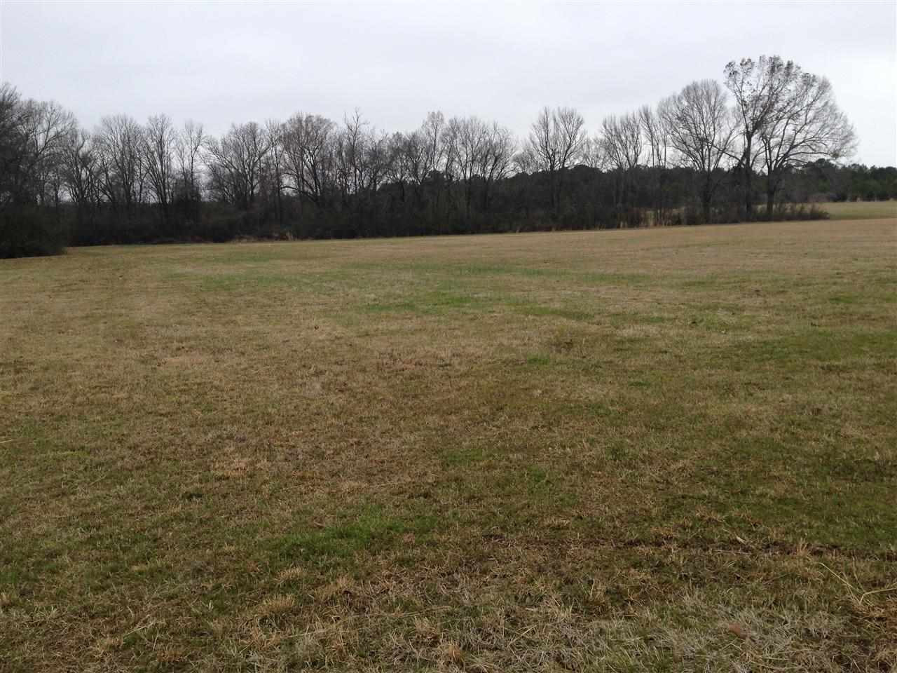 7 Sharon Road Canton, MS 39046 - Photo 9 of 10 Photo 9