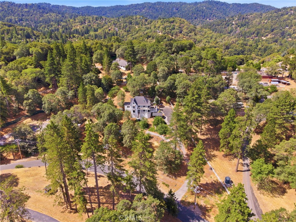450 Dart Canyon Road Crestline, CA 92325 - Photo 3 of 43