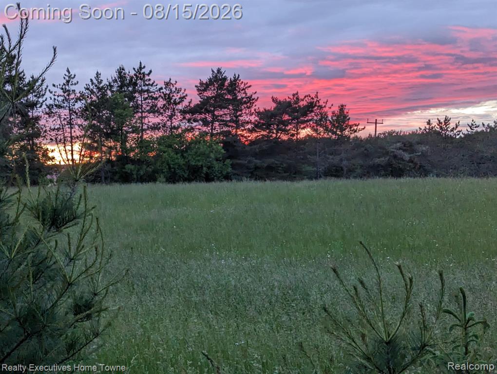 3830 Loree Road Deckerville, MI 48427 - Photo 64 of 70 Gallery Image 64