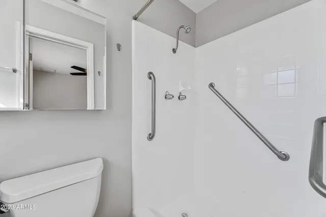 a bathroom with a toilet and a shower