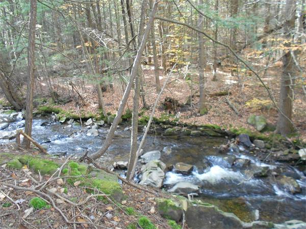 196 Prentice Road Worthington, MA 01098 - Photo 29 of 30 Gallery Image 29
