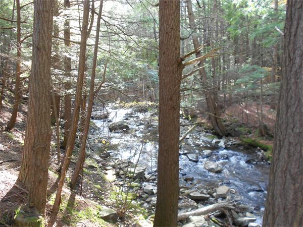 196 Prentice Road Worthington, MA 01098 - Photo 30 of 30 Gallery Image 30