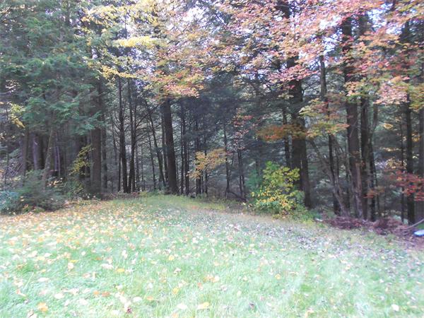196 Prentice Road Worthington, MA 01098 - Photo 7 of 30 Gallery Image 7