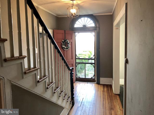137 Miller Road Winchester, VA 22602 - Photo 5 of 80 Gallery Image 5
