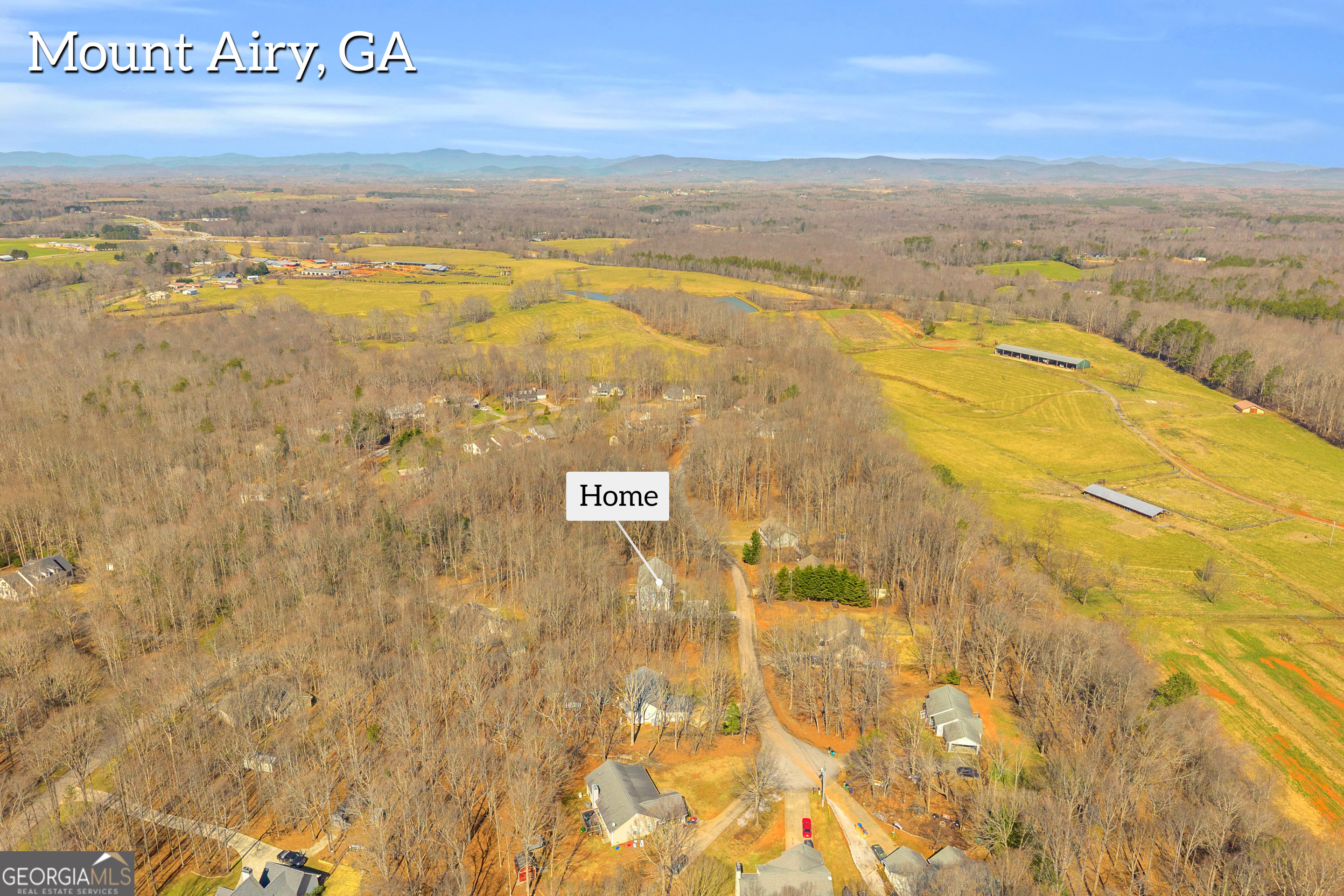 141 Shadow Walk Drive Mount Airy, GA 30563 - Photo 54 of 65