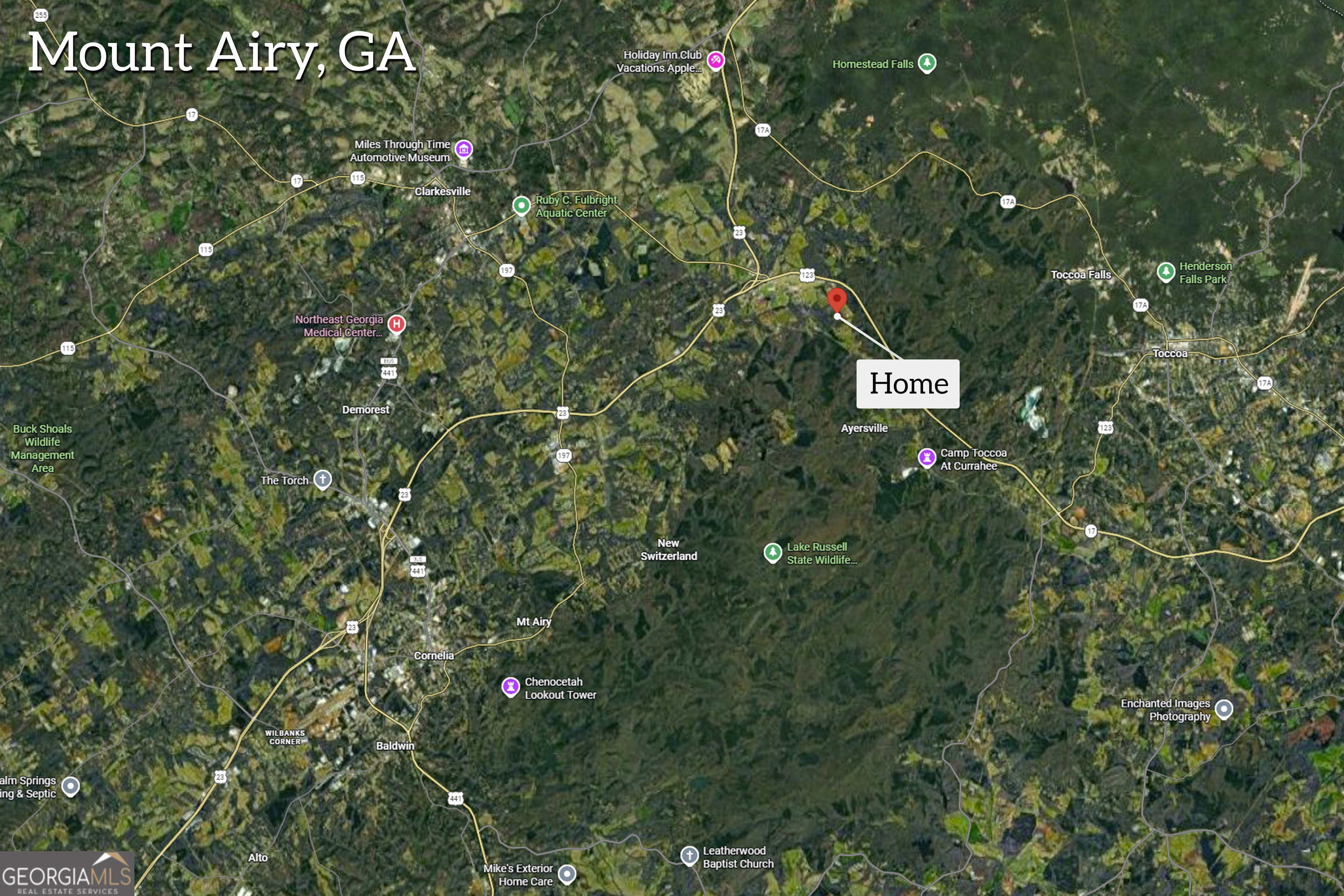 141 Shadow Walk Drive Mount Airy, GA 30563 - Photo 60 of 65