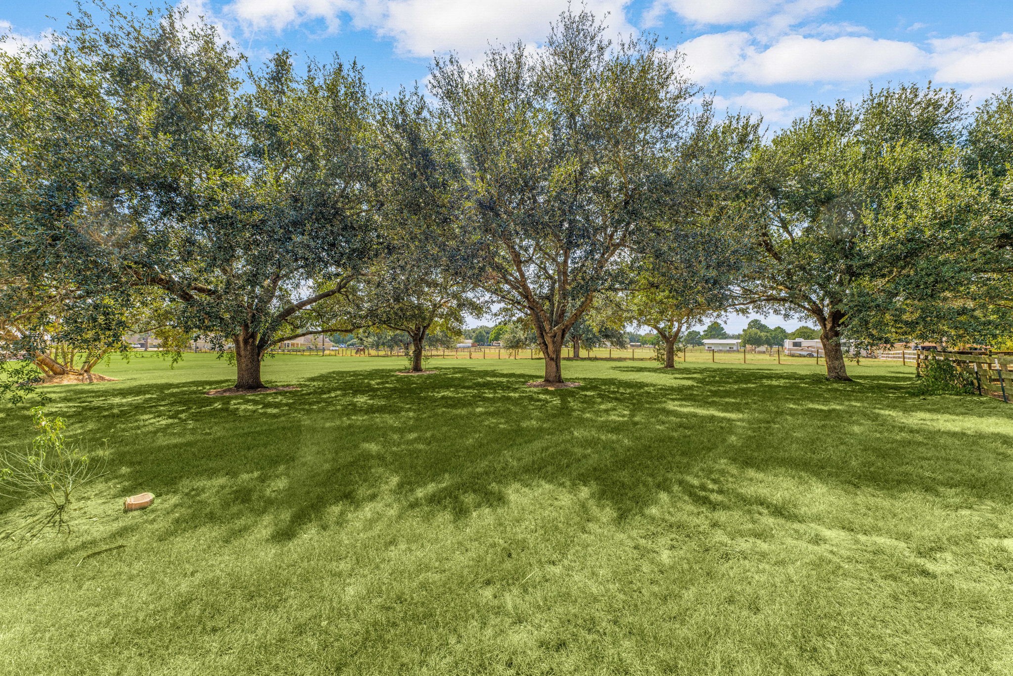 17207 Penick Road Waller, TX 77484 - Photo 7 of 37 Enjoy this grove of mature Live Oak trees at the back of the property, offering shade and a private outdoor space. Ideal for relaxation and outdoor activities.