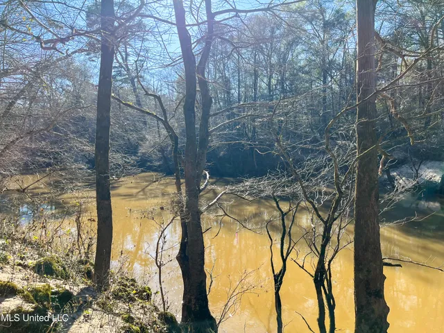 $627,334 | 1621 Cr 111 Shubuta Ms 39360, Quitman, MS 39355